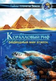 Adventure coral reef Under the sea of Egypt 2012 BDRemux (1080p)<span style=color:#39a8bb> ExKinoRay</span>