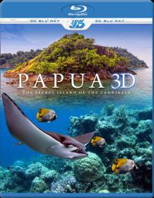 Papua(3D-halfOU)2013(Ash61)