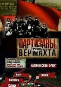 Партизаны против Вермахта  8-8 (2010)