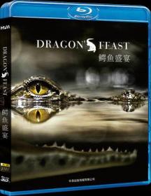 DragonsFeast(2012)3D-halfOU(Ash61)VO