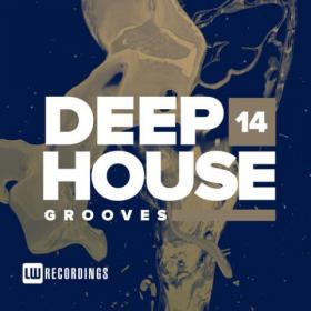 LW Recordings - Deep House Grooves Vol  14 (2019)