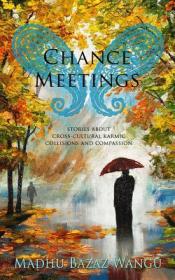 Chance Meetings by Madhu Bazaz Wangu
