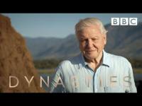 David Attenborough BBC Dynasties 4of5 2nd Dec 2018 1080p (Deep61) [WWRG]