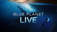 BBC Blue Planet Live 2019 1of4 720p HDTV x264 AAC