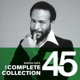 Marvin Gaye - The Complete Collection Mp3 320kbps Quality Songs [PMEDIA]