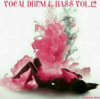 Vocal Drum & Bass Vol 12 (2018)