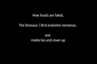 Dinosaurs Hoax Compilation Collection - Evolution is a lie, Wake up Sheeple