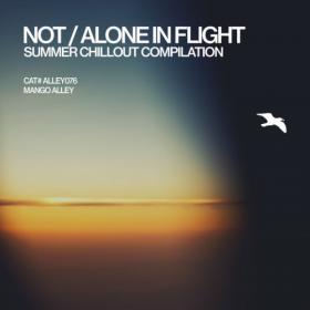 VA - Not_Alone in Flight (2018) MP3 320kbps Vanila