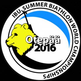Чемпионат мира по летнему биатлону 2016  Отепя (Эстония)  Мужчины  Гонка преследования 12,5 км