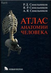 Синельников Р Д  - Атлас анатомии человека (4 тома) - 2009-2010