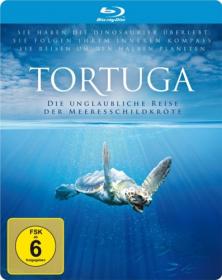 Tortuga The Incredible Trip Of The Sea Turtle 2009 BDRip by HD-NET