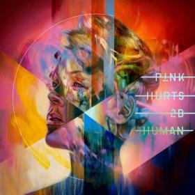 P!nk - Hurts 2B Human (2019) Mp3 320kbps Quality Album [PMEDIA]