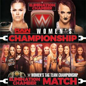 WWE Elimination Chamber 2019-02-17 Full Show HDTV x264 2.5GB -1337xHD