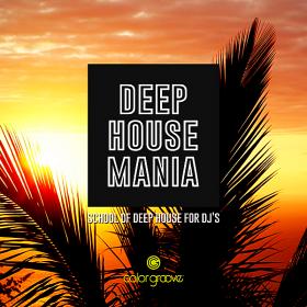 Deep House Mania (School Of Deep House For DJ's) (2019)