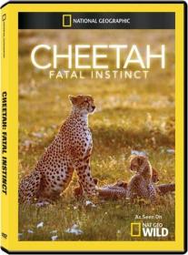 N G Cheetah Fatal Instinct (2012) XviD HDTVRip RG Grand-TT
