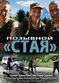 Позывной Стая (2013) SATRip