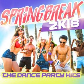 VA_-_Springbreak_2k18_(The_Dance_Party_Hits)