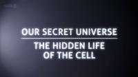 Our Secret Universe The Hidden Life of the Cell (rus)