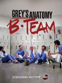 GREY’S ANATOMY The B Team S01E01-06 400p<span style=color:#39a8bb> ColdFilm</span>