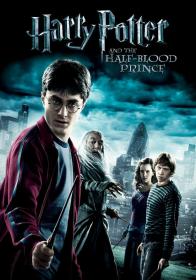 Harry Potter and the Half Blood Prince 2009 1080p BrRip x264