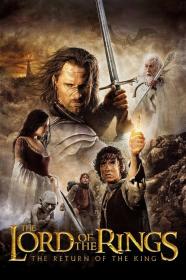 The Lord of the Rings The Return of the King EXTENDED (2003) [1080p]