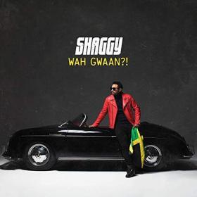 Shaggy - Wah Gwaan! (2019) [320]