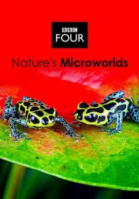 BBC Natures Microworlds 12of13 Australias Red Centre 720p HDTV x264 AAC