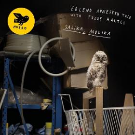 (2019) Erlend Apneseth Trio with Frode Haltli - Salika, Molika [FLAC,Tracks]