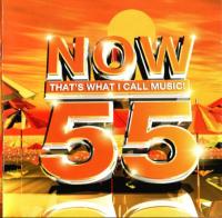 Now That's What I Call Music 55 (2003) (320)