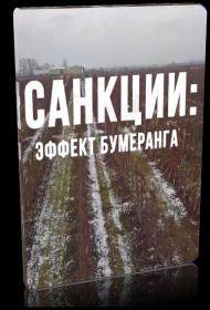 Санкции  эффект бумер  1400M (2019)