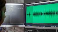 Premiere Pro Guru- Audio Workflow and the Essential Sound Panel
