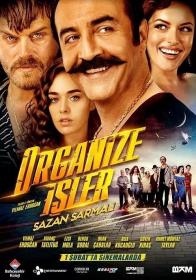 有组织的工作 Organize Isler Sazan Sarmali 2019 1080p WEB-DL x264 土耳其语中文字幕 chs aac