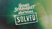 Natures Strangest Mysteries Solved Series 1 Part 13 Cuddly Shark 720p HDTV x264 AAC