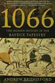 1066 - The Hidden History in the Bayeux Tapestry