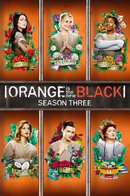 Orange.is.The.New.Black.S03.FRENCH.WEBRiP.XviD<span style=color:#39a8bb>-ZT</span>