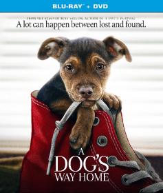 A Dog's Way Home (2019)[1080p - BDRip - Original Auds [Tamil + Telugu + Hindi + Eng] - AC3 5.1]
