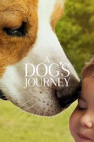 一条狗的使命2 A Dogs Journey 2019 1080p WEB-DL DD 5.1 H264