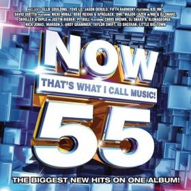 Now That's What I Call Music! vol  55 US (2015) (320)