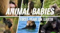 BBC Animal Babies First Year on Earth 2of3 1080p HDTV x265 AAC