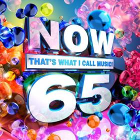 Now That's What I Call Music! vol  65 US (2018) (320)