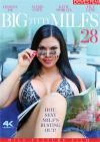 Big Titty MILFS 28 (Devil's Film) [2019) All Sex, WEB<span style=color:#39a8bb>-DL</span>