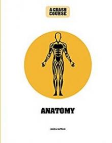 [NulledPremium com] Anatomy A Crash CourseBecome An Instant Expert