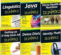 20 For Dummies Series Books Collection Pack-19