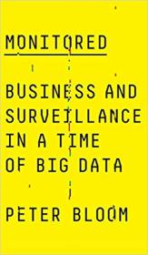 Monitored Business and Surveillance in a Time of Big Data