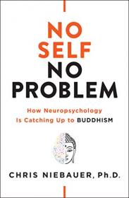 No Self, No Problem by Chris Niebauer