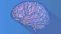 [FreeTutorials.Us] [UDEMY] Neuroscience Synthesis To Rewire Your Brain [FTU]
