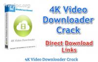 4K Video Downloader 4.9.2.3082