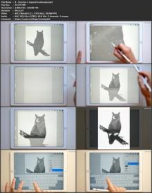 Skillshare - Create a Paper Cut Light Box in Procreate- From Sketch to Final Piece (Free Brushes & Color Palette)