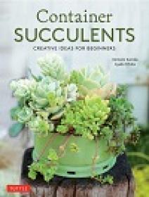 Container Succulents Creative Ideas for Beginners