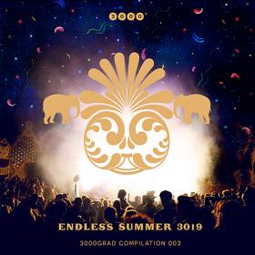 Endless Summer 3019 (2019)